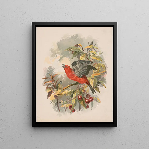 Henry Walker Herrick - Scarlet tanager on a cherry tree branch.webp