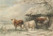 Vaches en hiver - Henry Willis — weergave van het kunstwerk