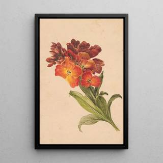 Henryka Beyer - Gazka laku.webp