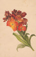 Gazka laku - Henryka Beyer — weergave van het kunstwerk