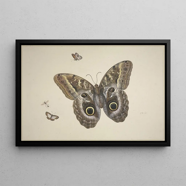 Herman Henstenburgh - Ein groer brauner Schmetterling zwei kleine und ein Insekt.webp