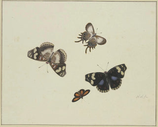 Herman Henstenburgh - Four butterflies.webp