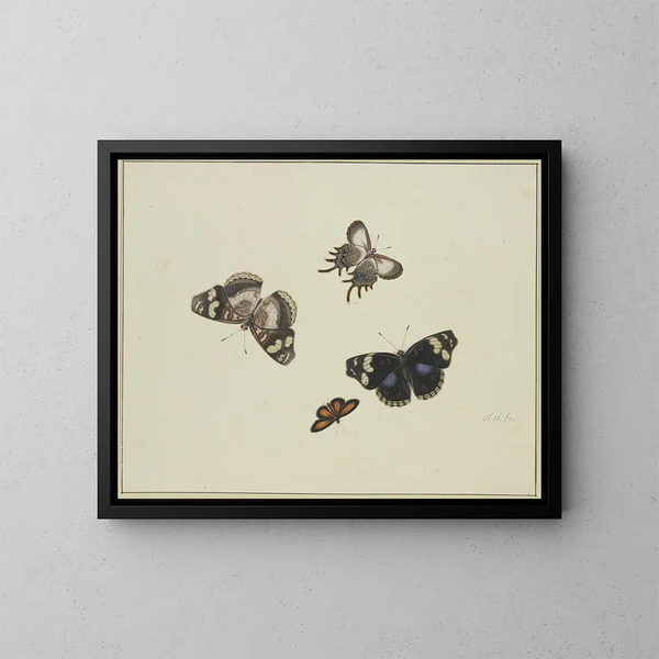 Vier vlinders - Herman Henstenburgh — ingelijst kunstwerk aan de muur