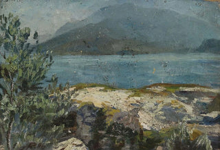 Hermann Pleuer - Sommerliches Seeufer.webp