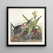 Groen Heron - John James Audubon — ingelijst kunstwerk aan de muur