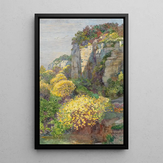 Hugo Charlemont - Broom in bloom on Brioni.webp