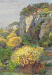 Genêt en fleurs sur Brioni - Hugo Charlemont — weergave van het kunstwerk