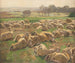 Schapen - Hugo Mühlig — weergave van het kunstwerk