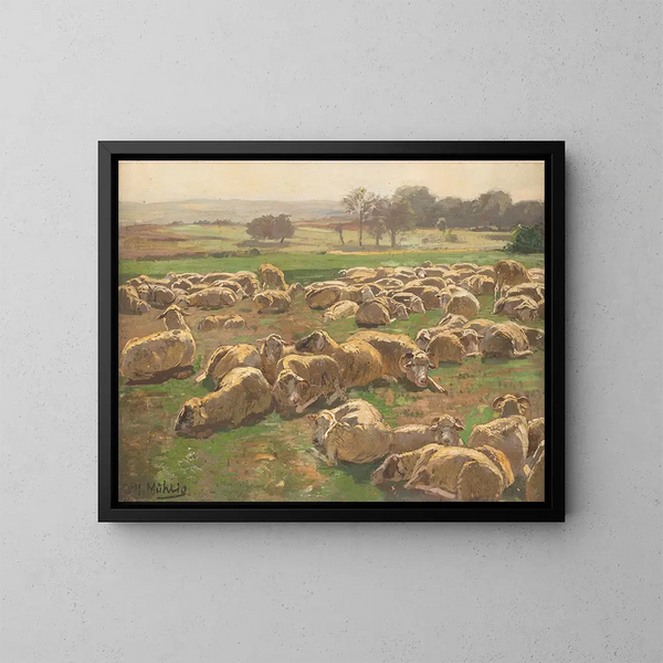 Schapen - Hugo Mühlig — ingelijst kunstwerk aan de muur