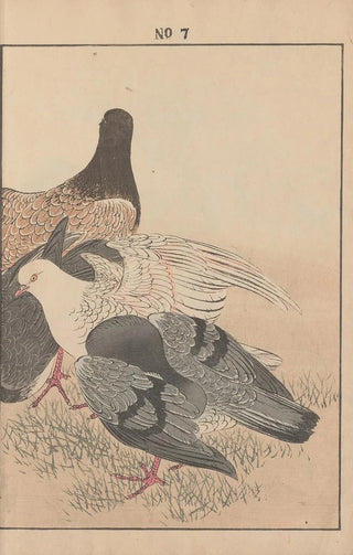 Imao Keinen - Keinen kach gafu Pl008.webp