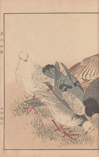 Imao Keinen - Keinen kach gafu Pl009.webp