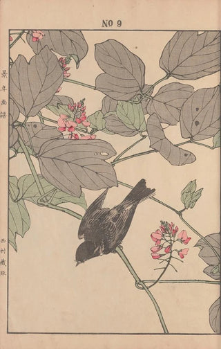 Imao Keinen - Keinen kach gafu Pl011.webp