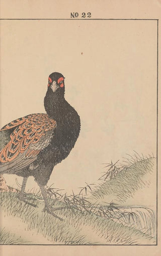 Imao Keinen - Keinen kach gafu Pl070.webp