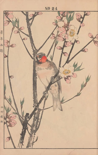 Imao Keinen - Keinen kach gafu Pl073.webp