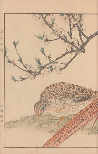 Imao Keinen - Keinen kach gafu Pl079.webp