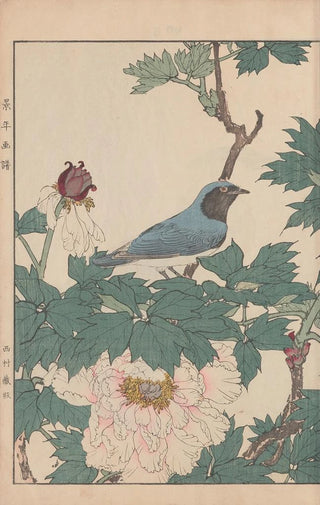 Imao Keinen - Keinen kach gafu Pl085.webp