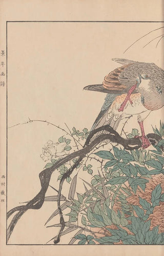 Imao Keinen - Keinen kach gafu Pl115.webp