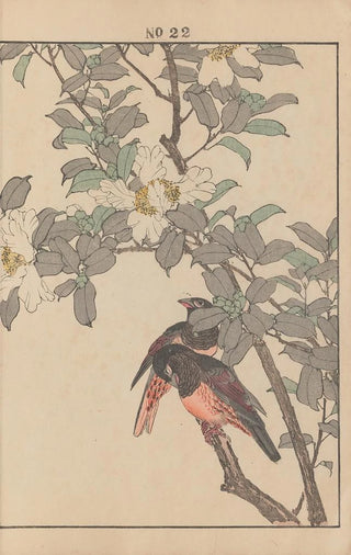 Imao Keinen - Keinen kach gafu Pl146.webp