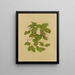 Arbousier rampant Mayflower - Isaac Sprague — framed artwork on a wall