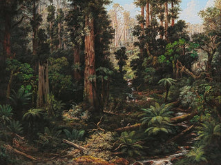 Isaac Whitehead - In the Sassafras Valley Victoria.webp