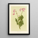 Akaakaawa - Isabella McHutcheson Sinclair — framed artwork on a wall