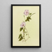 KoaliAi - Isabella McHutcheson Sinclair — framed artwork on a wall