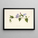 KoaliAwahia - Isabella McHutcheson Sinclair — framed artwork on a wall