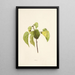Milo - Isabella McHutcheson Sinclair — framed artwork on a wall
