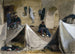 Breton Mobile Encampment Painting under the Auteuil Viaduct in 1870 - Isidore Pils — artwork view