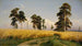 Wheat Field - Ivan Ivanovich Shishkin — artwork view