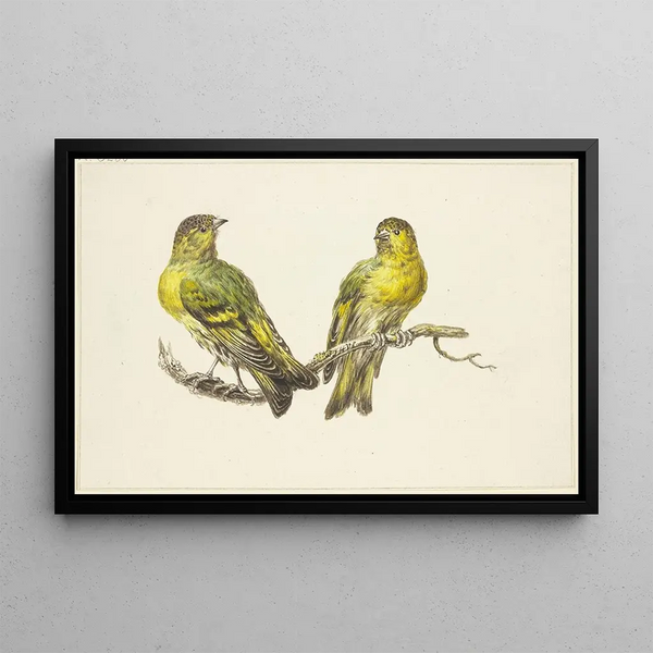 J H Van Loon - Two linnets.webp