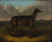 De sultan en de windhond - J Thompson — weergave van het kunstwerk