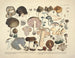Getrouwe weergaven en beschrijvingen van eetbare, schadelijke en verdachte paddenstoelen Pl02 - J V Krombholz — weergave van het kunstwerk