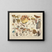 Représentaties en beschrijvingen van eetbare, schadelijke en verdachte paddenstoelen Pl03 - J V Krombholz — ingelijst kunstwerk aan de muur