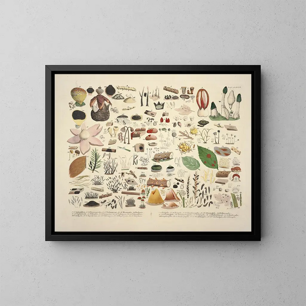 Getrouwe weergaven en beschrijvingen van eetbare, schadelijke en verdachte paddenstoelen Pl06 - J V Krombholz — ingelijst kunstwerk aan de muur