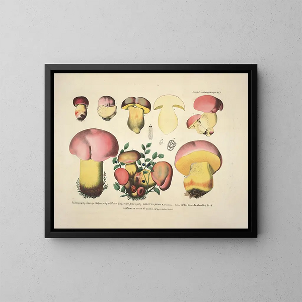 Getrouwe weergaven en beschrijvingen van eetbare, schadelijke en verdachte paddenstoelen Pl07 - J V Krombholz — ingelijst kunstwerk aan de muur