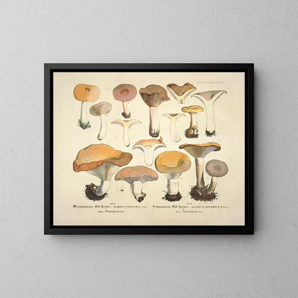 Reproducties getrouwe weergaven en beschrijvingen van eetbare, schadelijke en verdachte paddenstoelen Pl12 - J V Krombholz — ingelijst kunstwerk aan de muur
