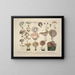 Getrouwe weergaven en beschrijvingen van eetbare, schadelijke en verdachte paddenstoelen Pl13 - J V Krombholz — ingelijst kunstwerk aan de muur