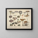 Reproducties getrouwe weergaven en beschrijvingen van eetbare, schadelijke en verdachte paddenstoelen Pl14 - J V Krombholz — ingelijst kunstwerk aan de muur