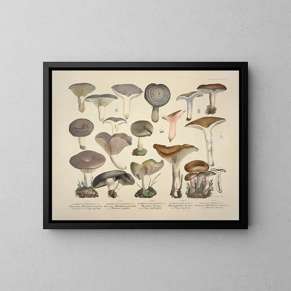 Reproducties getrouwe weergaven en beschrijvingen van eetbare, schadelijke en verdachte paddenstoelen Pl14 - J V Krombholz — ingelijst kunstwerk aan de muur