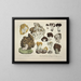 Représentaties en nauwkeurige beschrijvingen van eetbare, schadelijke en verdachte paddenstoelen Pl20 - J V Krombholz — ingelijst kunstwerk aan de muur