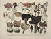 Représentaties en nauwkeurige beschrijvingen van eetbare, schadelijke en verdachte paddenstoelen Pl21 - J V Krombholz — weergave van het kunstwerk