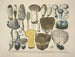Getrouwe weergaven en beschrijvingen van eetbare, schadelijke en verdachte paddenstoelen Pl30 - J V Krombholz — weergave van het kunstwerk