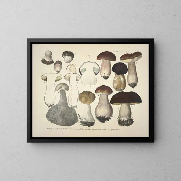 Représentaties en nauwkeurige beschrijvingen van eetbare, schadelijke en verdachte paddenstoelen Pl31 - J V Krombholz — ingelijst kunstwerk aan de muur