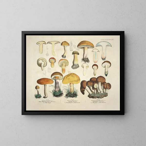 Reproducties getrouwe weergaven en beschrijvingen van eetbare, schadelijke en verdachte paddenstoelen Pl34 - J V Krombholz | Schilderij — ingelijst kunstwerk aan de muur