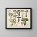 Getrouwe weergaven en beschrijvingen van eetbare, schadelijke en verdachte paddenstoelen Pl35 - J V Krombholz — ingelijst kunstwerk aan de muur