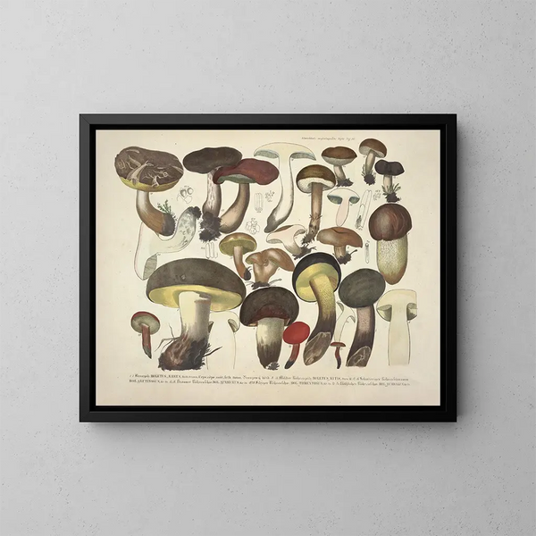 Reproducties getrouwe weergaven en beschrijvingen van eetbare, schadelijke en verdachte paddenstoelen Pl36 - J V Krombholz — ingelijst kunstwerk aan de muur
