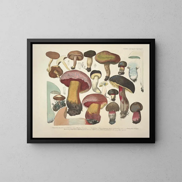 Reproducties getrouwe weergaven en beschrijvingen van eetbare, schadelijke en verdachte paddenstoelen Pl37 - J V Krombholz — ingelijst kunstwerk aan de muur