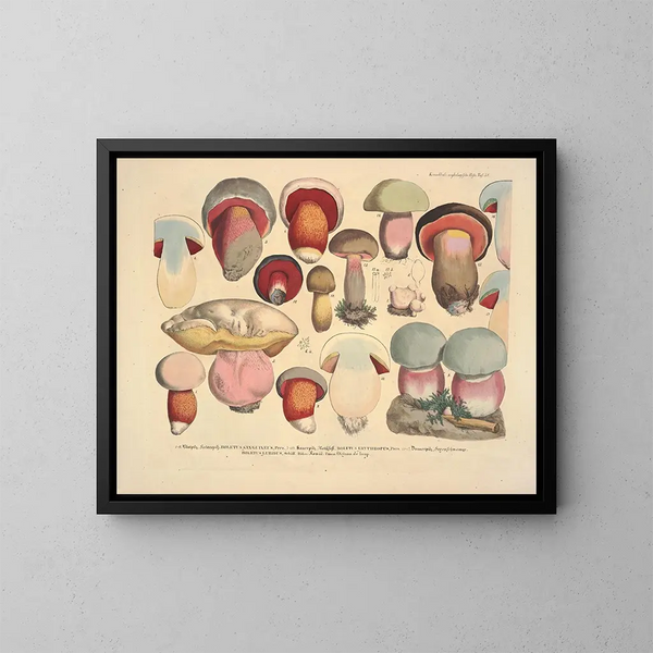 Getrouwe weergaven en beschrijvingen van eetbare, schadelijke en verdachte paddenstoelen Pl38 - J V Krombholz — ingelijst kunstwerk aan de muur