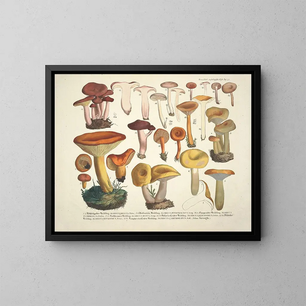 Getrouwe weergaven en beschrijvingen van eetbare, schadelijke en verdachte paddenstoelen Pl39 - J V Krombholz — ingelijst kunstwerk aan de muur